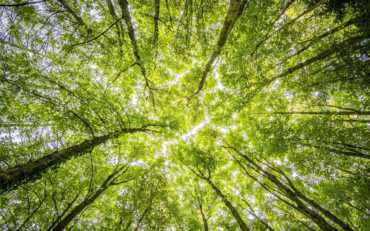 Our Contribution to Environmental Protection Our Contribution to Environmental Protection
