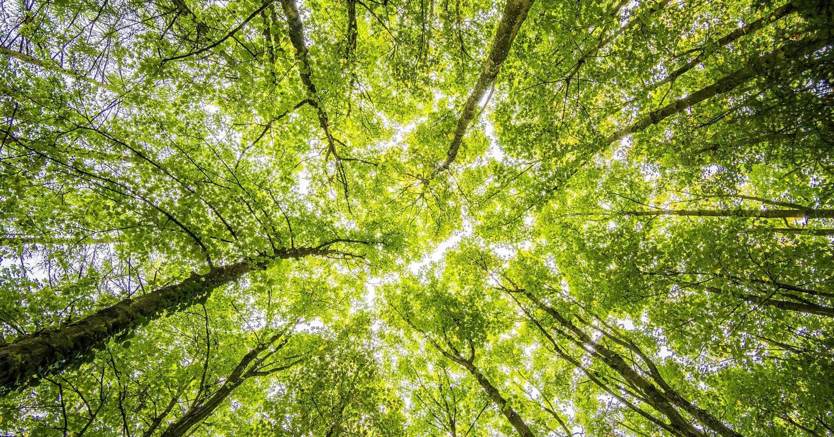 Our Contribution to Environmental Protection Our Contribution to Environmental Protection