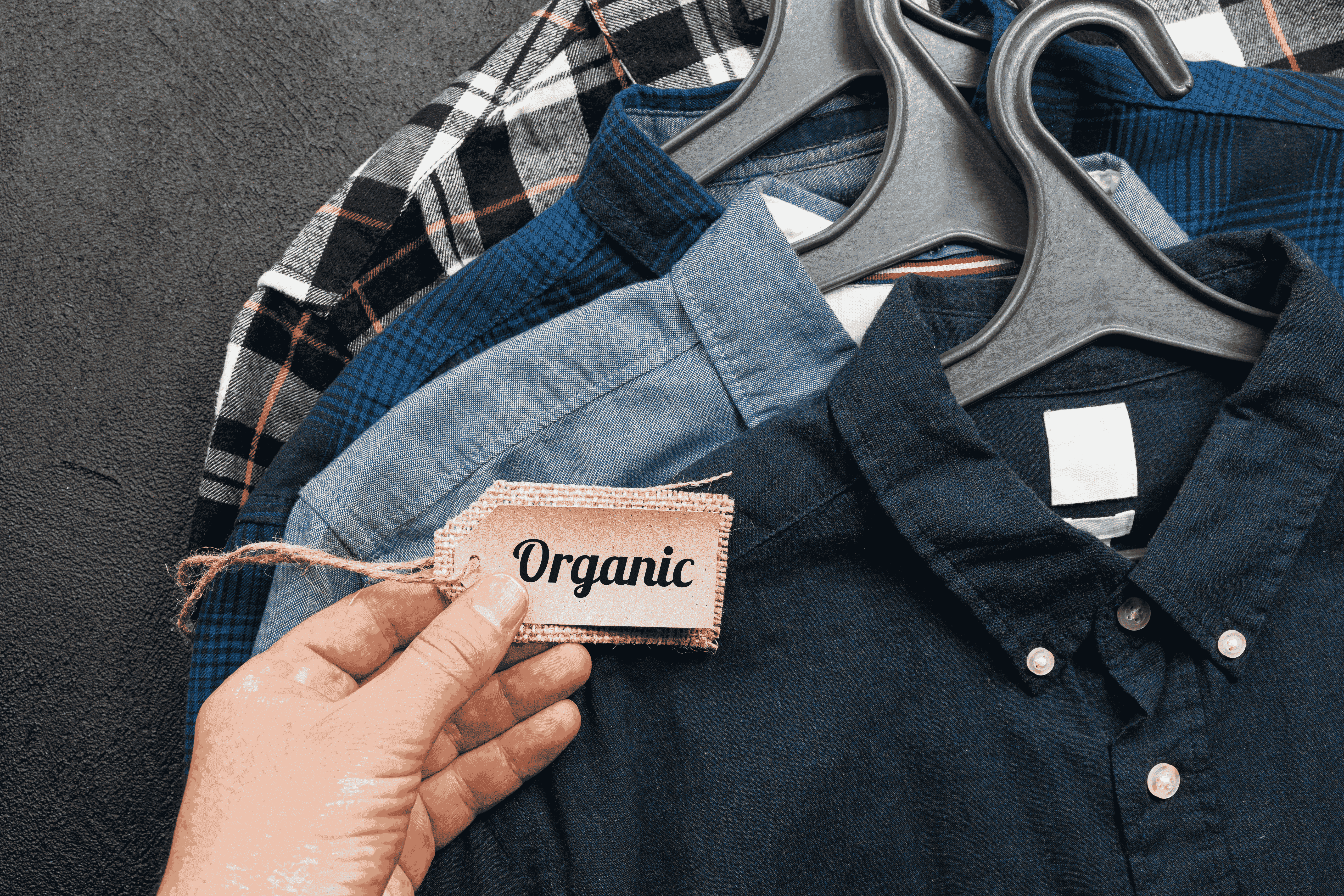 Hand hält Etikett mit Aufschrift Organic vor nachhaltigen Bio-Hemden aus Baumwolle auf Kleiderbügeln – umweltfreundliche Kleidung